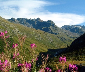 Kwiatki, Góry