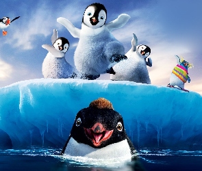 Lód, Happy Feet, Tupot małych stóp, Pingwiny