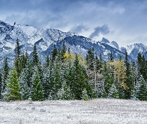 Las, Zima, Góry