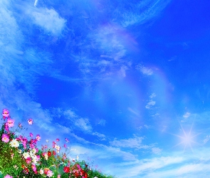 Kwiaty, Chmurki, Nieba, Małe, Błękit