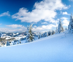 Śnieg, Niebo, Wzgórza, Drzewa