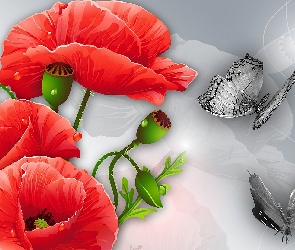 Motyle, Art, Maki