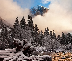 Rzeka, Zima, Mgła, Drzewa, Góry