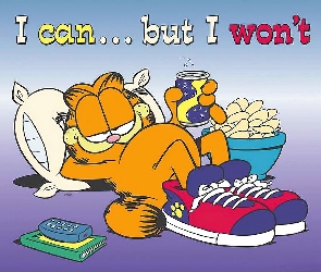 Odpoczywający, Garfield