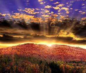 Chmury, Promienie, Jesień, Kolorowe, Drzewa, Słońca