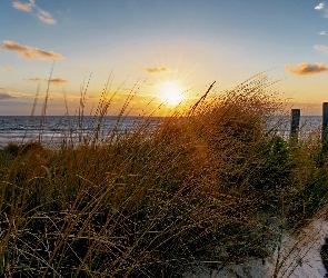 Plaża, Trawy, Słońca, Promienie, Morze