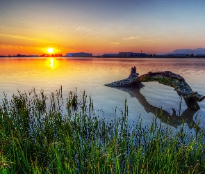 Jezioro, Zachód Słońca, Szuwary