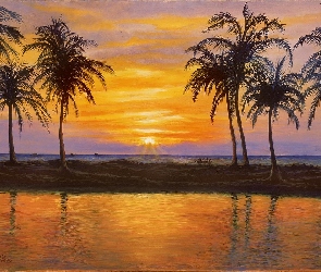 Zachód Słońca, Woda, Palmy