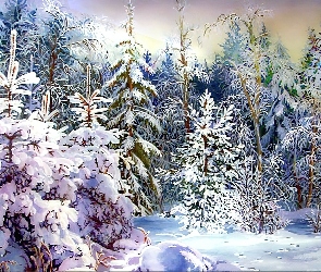 Zima, Choinki, Las, Ośnieżone
