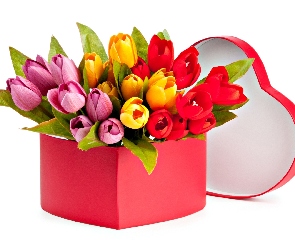 Kolorowe, Serce, Pudełko, Tulipany