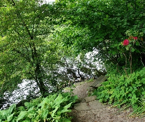 Zieleń, Ławka, Park, Zakątek