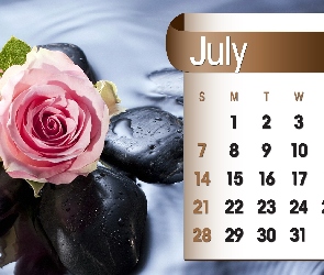 Kalendarz, 2013r, Lipiec, Róża