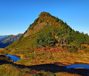 Góry, Drzewa, Doliny