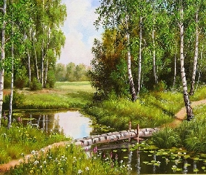 Brzozowy, Obraz, Widok, Strumyk, Las