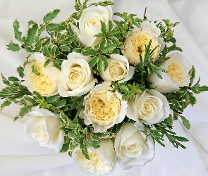 Białych, Róż, Bukiet