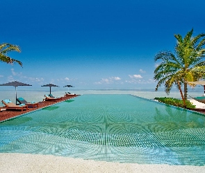 Malediwy, Palmy, Morze, Plaża