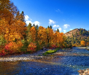 Jesień, Wzgórze, Rzeka