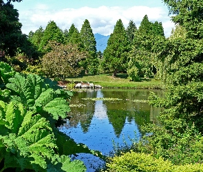 Zieleń, Staw, Park