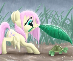 Przyjaźń To Magia, Fluttershy, My Little Pony