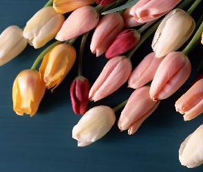 Tulipany, Bukiet