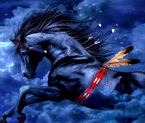 Koń, Niebo, Pióra