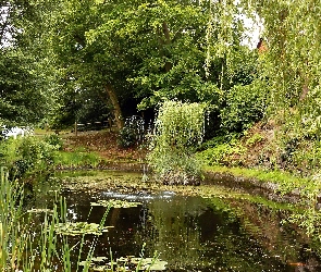 Fontanna, Pływająca, Park, Staw