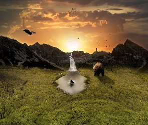 Ptak, Fantasy, Góry, Zachód Słońca, Niedźwiedź