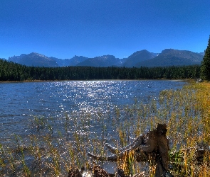 Lasy, Góry, Jezioro