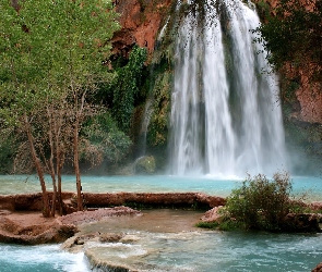 Wodospad, Arizona, Drzewa, Skały, Havasu