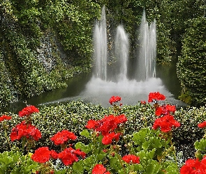 Las, Wodospad, Czerwone, Kwiaty
