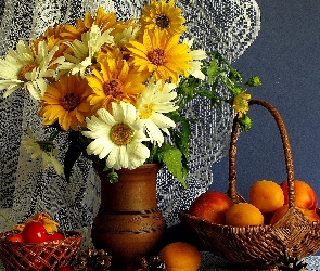 Margerytki, Owoce