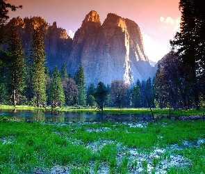 Stan Kalifornia, Stany Zjednoczone, Drzewa, Łąka, Woda, Góry, Park Narodowy Yosemite