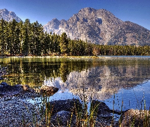 Las, Góry, Jezioro