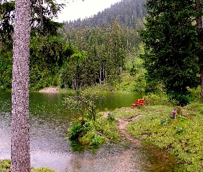 Ławeczka, Świerki, Jezioro, Las
