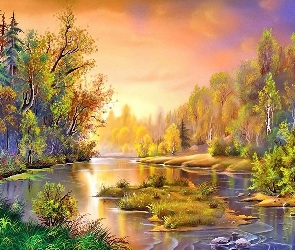 Słońca, Zachód, Rzeka, Las