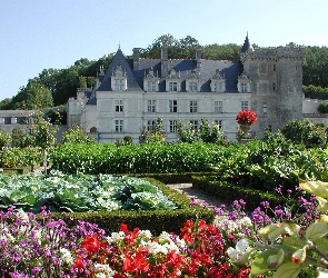 Zamek w Villandry, Ogród, Francja, Villandry, Château de Villandry