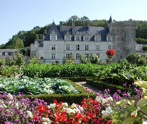 Château de Villandry, Ogród, Villandry, Francja, Zamek w Villandry