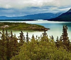 Rzeka, Kanada, Góry, Yukon, Drzewa