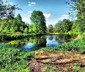 Jezioro, Natura