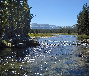 Rzeka, Kalifornia, Las, Kamienie