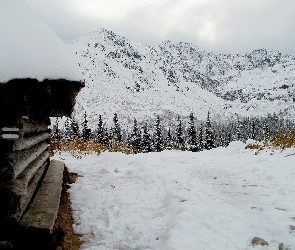 Śnieg, Tatry