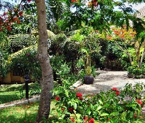 Egzotyczny, Park