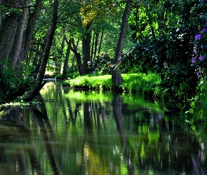 Park, Zieleń, Kwiaty, Rzeczka