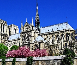 Francja, Paryż, Katedra, Notre Dame