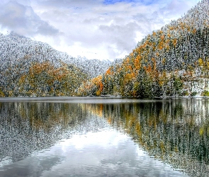 Lasy, Góry, Drzewa, Jezioro, Kolorowe