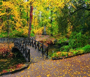 Park, Jesień, Mostek