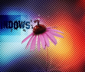 Operacyjny, Windows, System