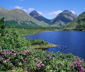 Góry, Różanecznik, Jezioro