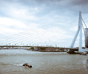 Erasmus Bridge, Rzeka, Holandia, Rotterdam