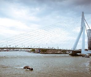 Rzeka, Holandia, Erasmus Bridge, Rotterdam